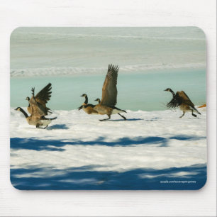 Fighting Canada Geese & Snow Wildlife Photo Mouse Mat