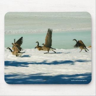 Fighting Canada Geese & Snow Wildlife Photo Mouse Mat