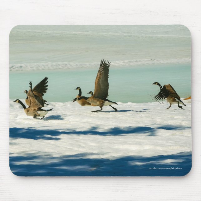 Fighting Canada Geese & Snow Wildlife Photo Mouse Mat (Front)