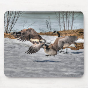 Fighting Canada Geese & Snow Wildlife Photo Mouse Mat