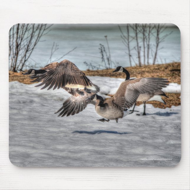 Fighting Canada Geese & Snow Wildlife Photo Mouse Mat (Front)