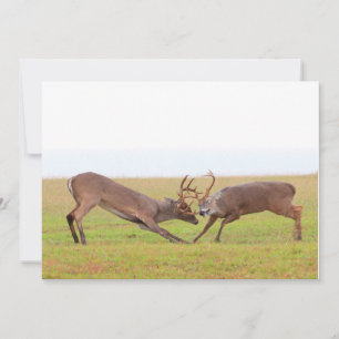 Fighting Deer Invitation