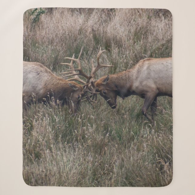 FIGHTING DEERS SHERPA BLANKET (Front)