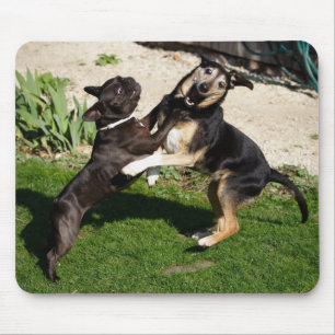 Fighting Dogs Mouse Mat