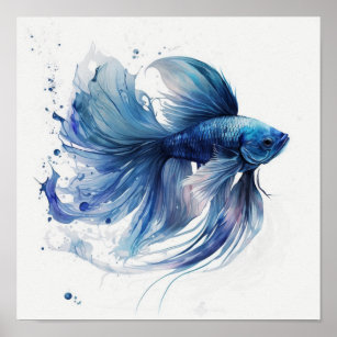 Fighting fish in watercolor  poster