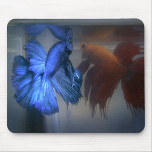 Fighting Fish Mouse Mat
