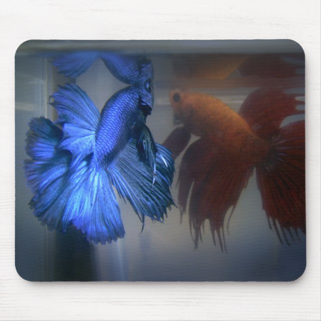 Fighting Fish Mouse Mat (Front)