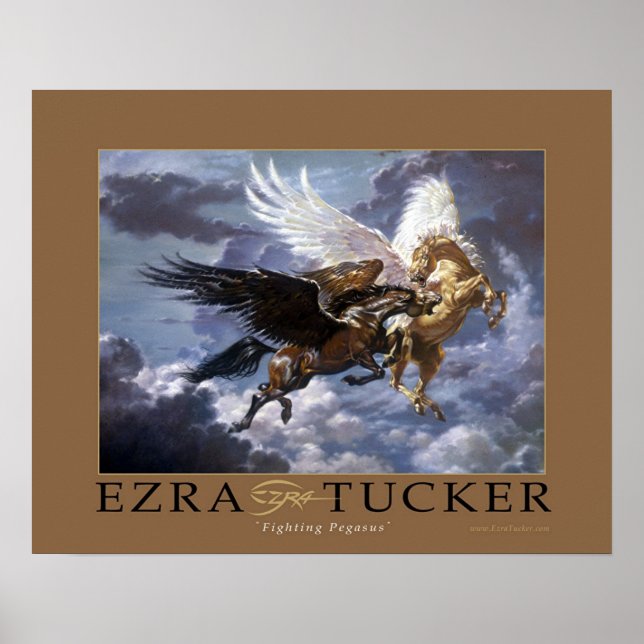 Fighting Pegasus Poster (Front)