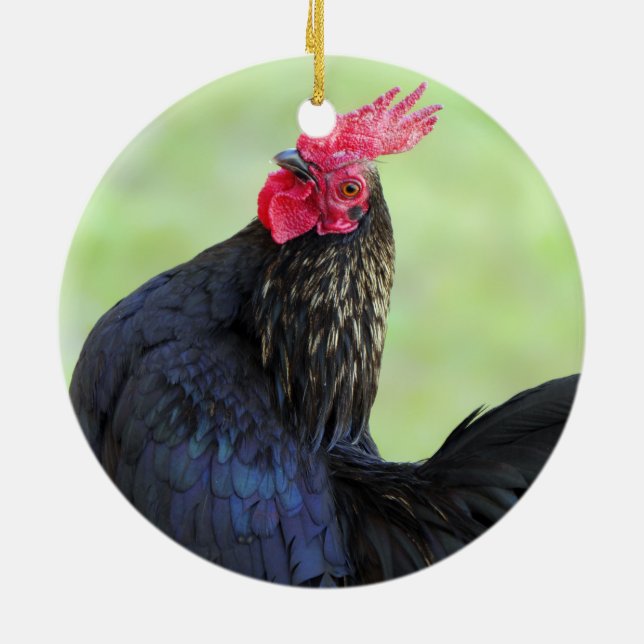 Fighting Rooster Ceramic Tree Decoration (Back)