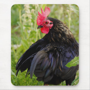 Fighting Rooster Mouse Mat