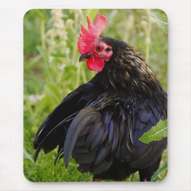 Fighting Rooster Mouse Mat (Front)