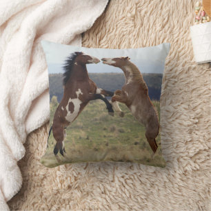 Fighting Stallions, Steens Mountains, Oregon Cushion
