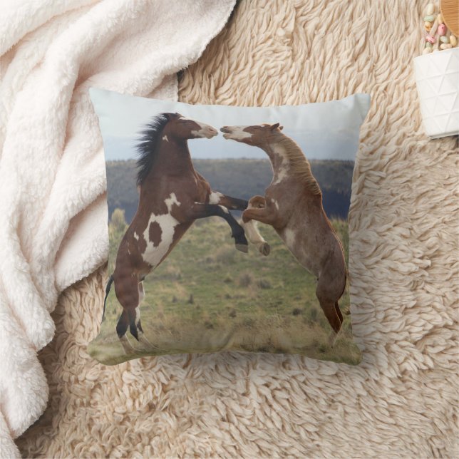 Fighting Stallions, Steens Mountains, Oregon Cushion (Blanket)