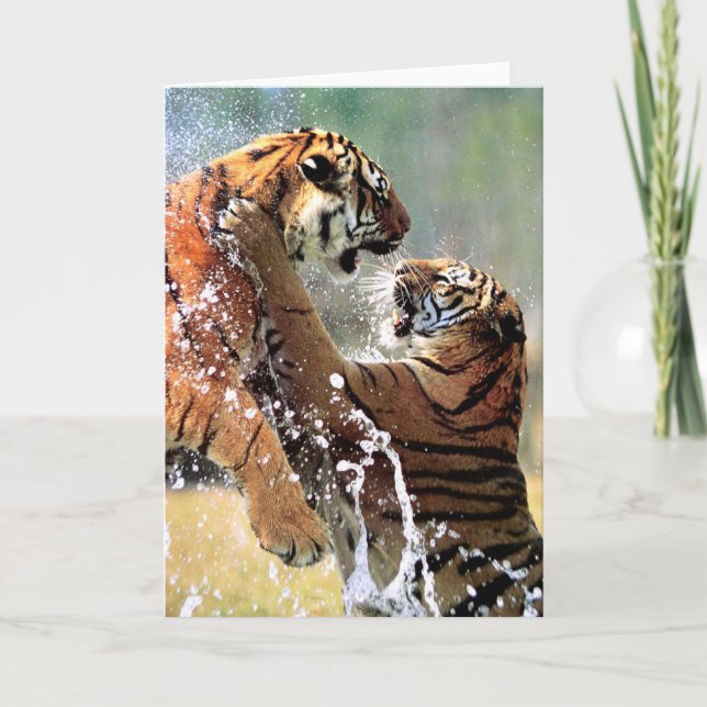 FIGHTING TIGERS HOLIDAY CARD (Front)