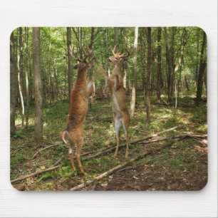 Fighting Whitetail Bucks Mouse Mat