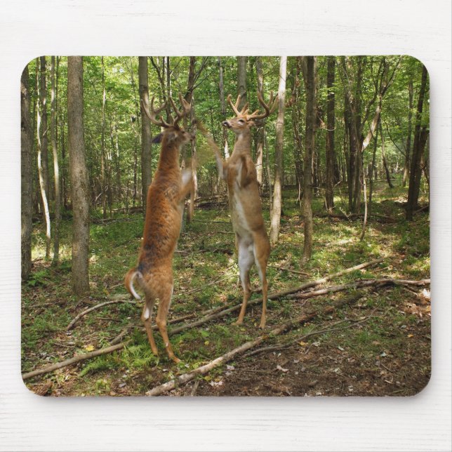 Fighting Whitetail Bucks Mouse Mat (Front)