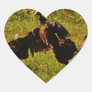 Fighting Wild Turkeys in The Smoky Mountains Heart Sticker