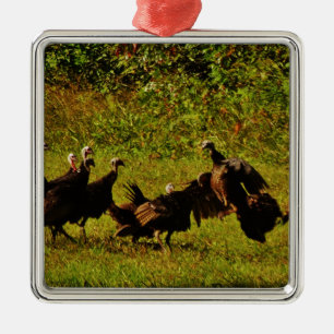 Fighting Wild Turkeys in The Smoky Mountains Metal Tree Decoration