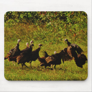 Fighting Wild Turkeys in The Smoky Mountains Mouse Mat