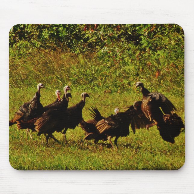 Fighting Wild Turkeys in The Smoky Mountains Mouse Mat (Front)