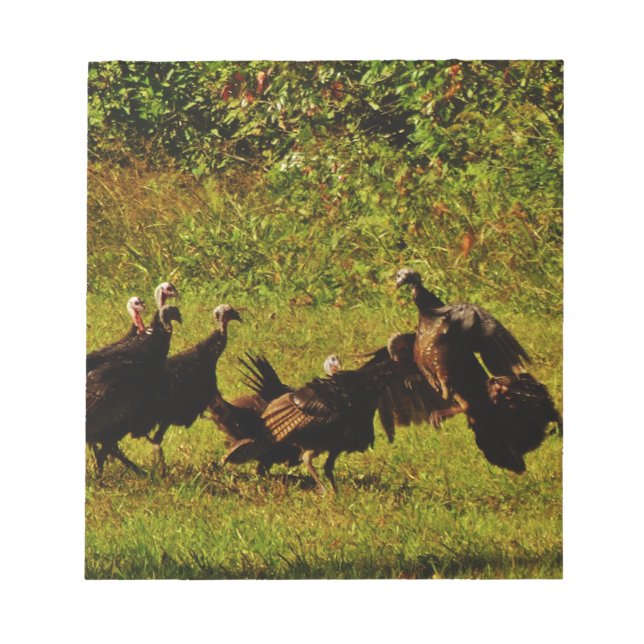 Fighting Wild Turkeys in The Smoky Mountains Notepad (Front)