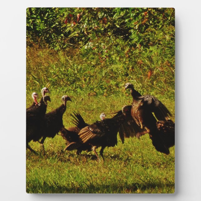 Fighting Wild Turkeys in The Smoky Mountains Plaque (Front)