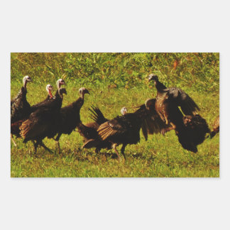 Fighting Wild Turkeys in The Smoky Mountains Rectangular Sticker
