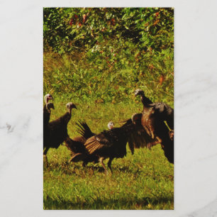 Fighting Wild Turkeys in The Smoky Mountains Stationery