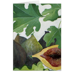 Figs 2013