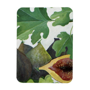 Figs 2013 magnet