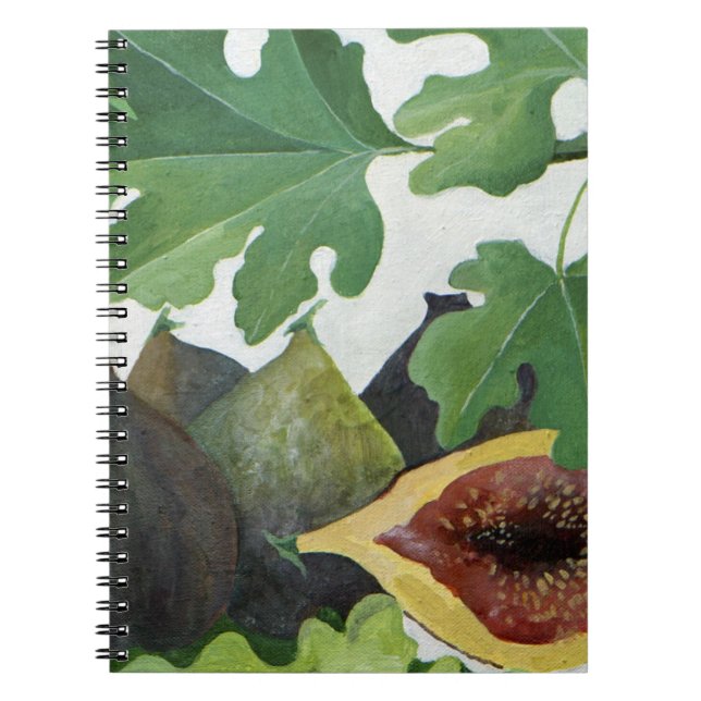 Figs 2013 notebook (Front)