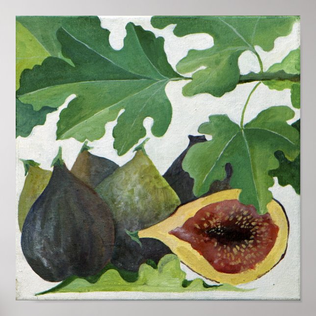 Figs 2013 poster (Front)