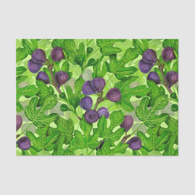 Figs 2 tissue paper (Front)