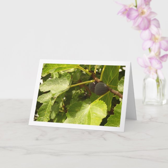 Figs in Tree Portrait Card (Orchid)