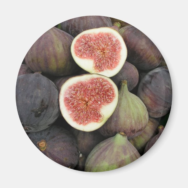 Figs Magnet (Front)