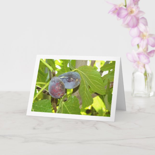 Figs on Tree Portrait Card (Orchid)