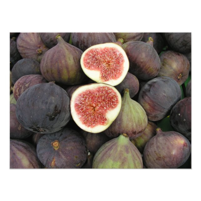 Figs Photo Print (Front)