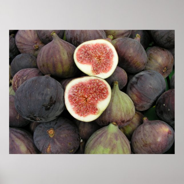 Figs Poster (Front)