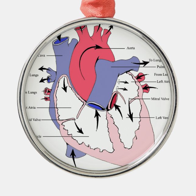 Figure 2. Normal Heart Function.jpg Metal Tree Decoration (Front)