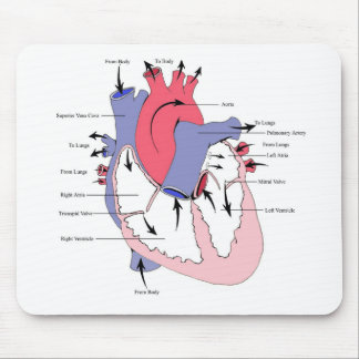 Figure 2. Normal Heart Function.jpg Mouse Mat