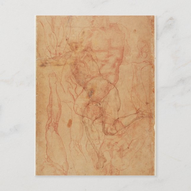 Figure Study Postcard (Front)