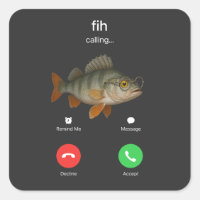 Fih Calling Remind me Message Decline Accept Phone