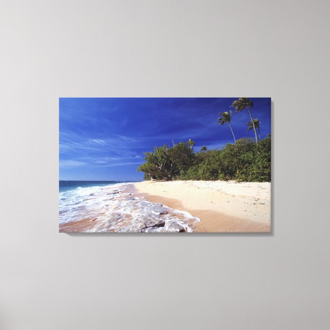 Fiji Islands, Tavarua. This beach on Tavarua, Canvas Print (Front)