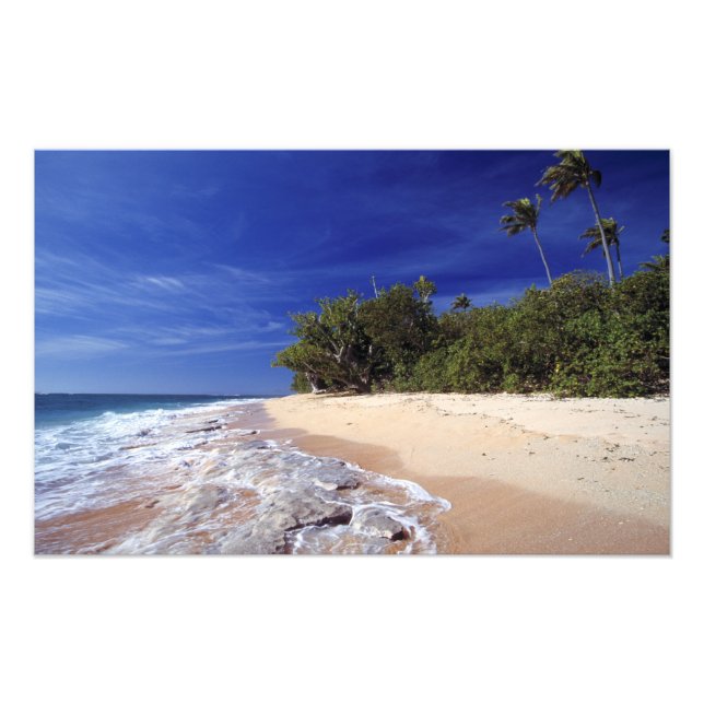Fiji Islands, Tavarua. This beach on Tavarua, Photo Print (Front)
