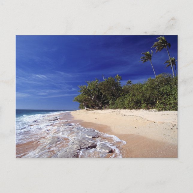 Fiji Islands, Tavarua. This beach on Tavarua, Postcard (Front)