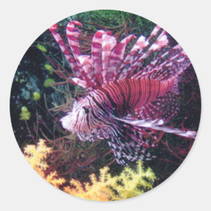 Fiji Lion Classic Round Sticker