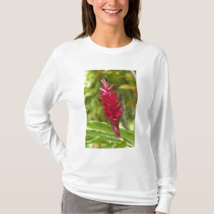 Fiji, Viti Levu Island. Flower. T-Shirt