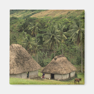 Fiji, Viti Levu, Navala, Traditional Bure houses Magnet
