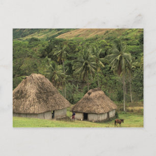 Fiji, Viti Levu, Navala, Traditional Bure houses Postcard