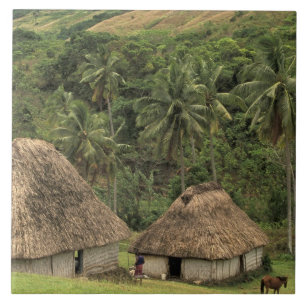 Fiji, Viti Levu, Navala, Traditional Bure houses Tile